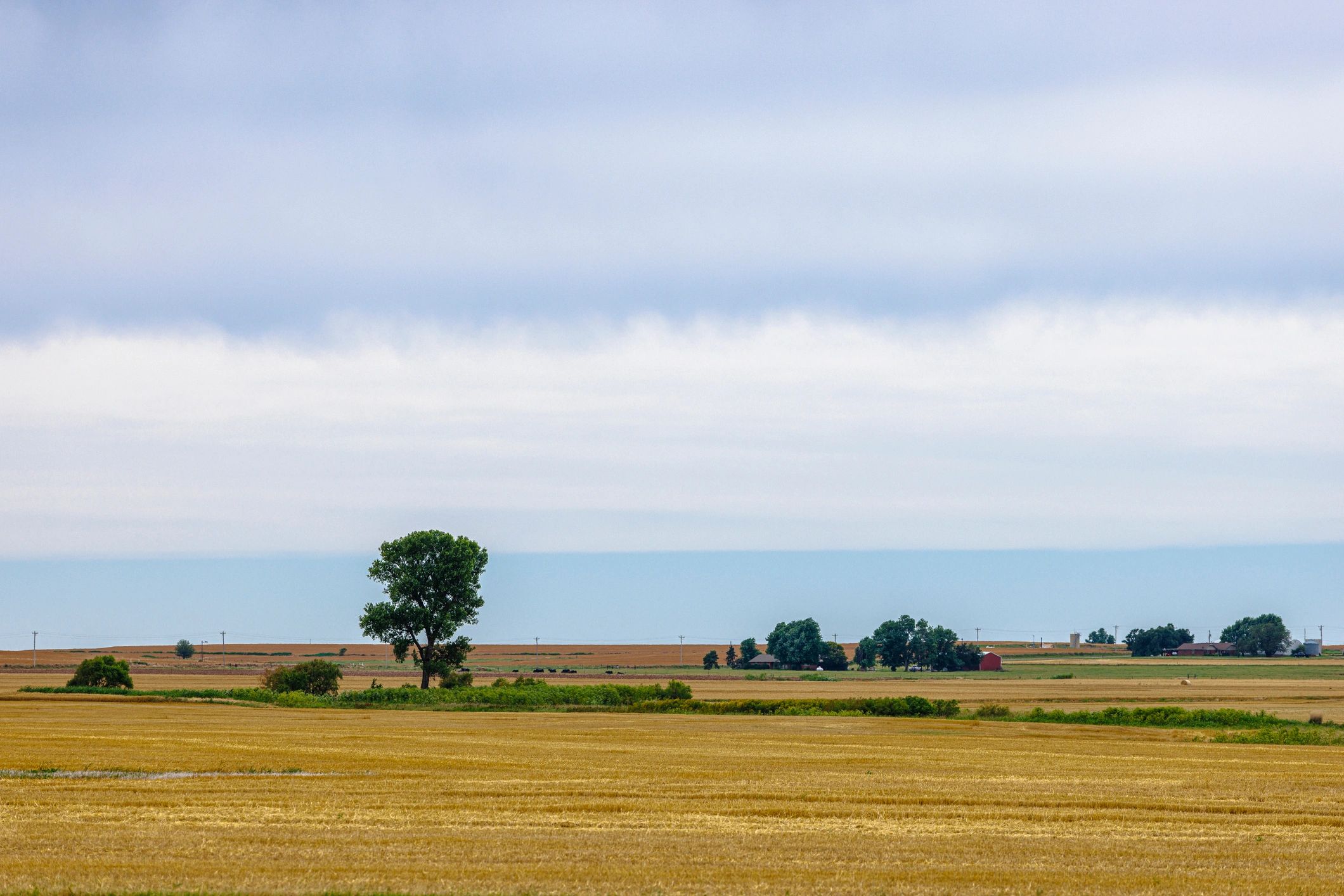 sustainable ranching landscape