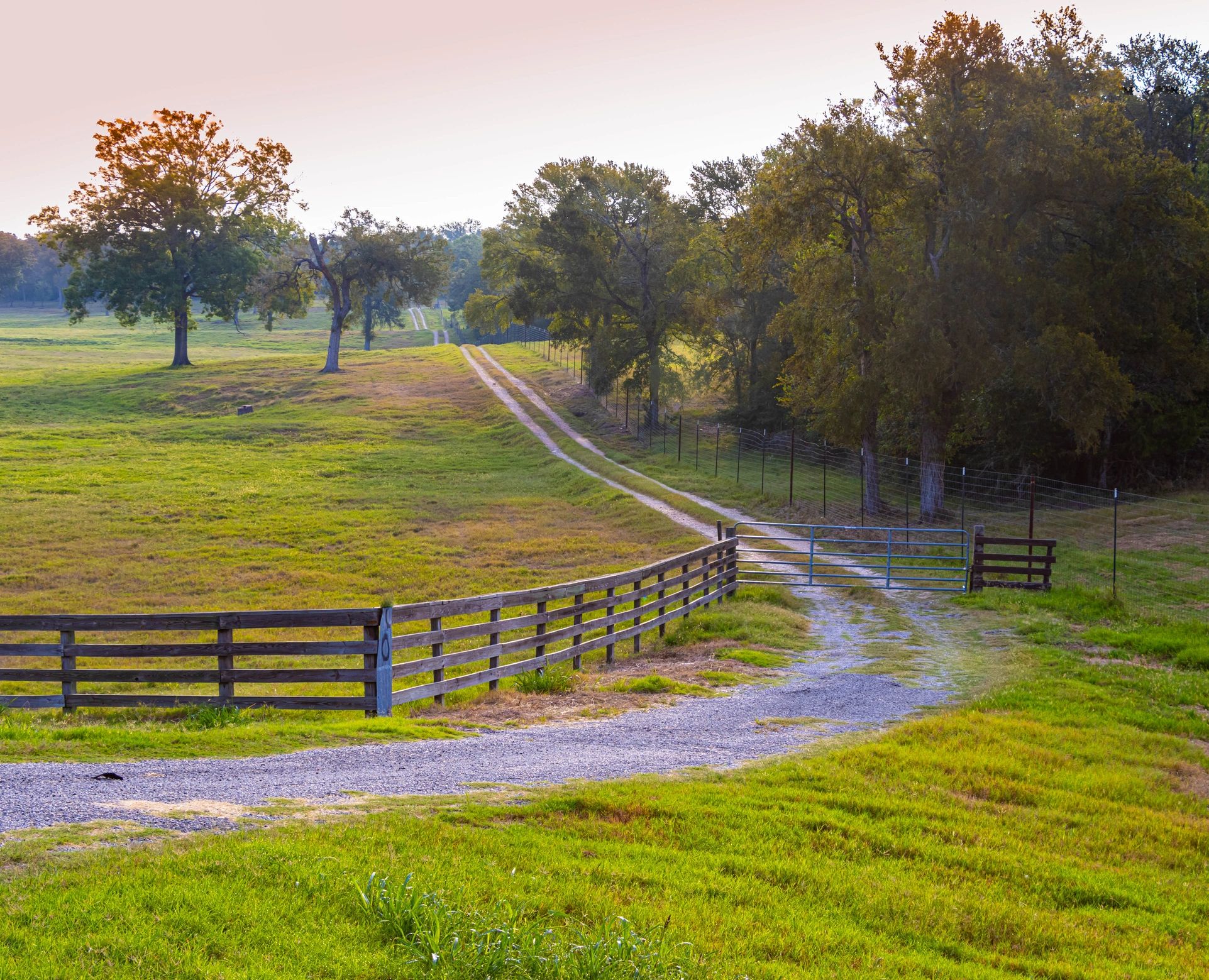 Texas ranch landscape