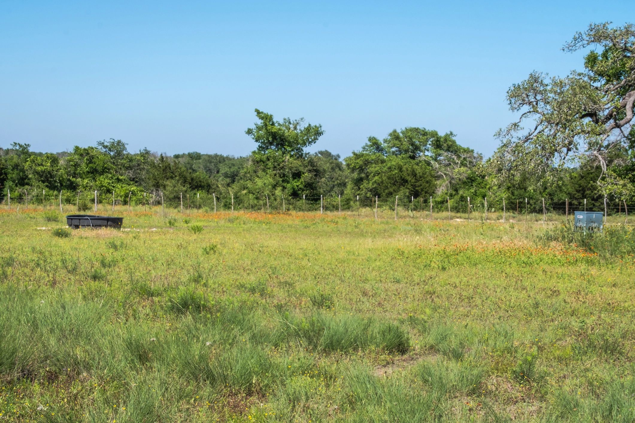 sustainable ranching Texas